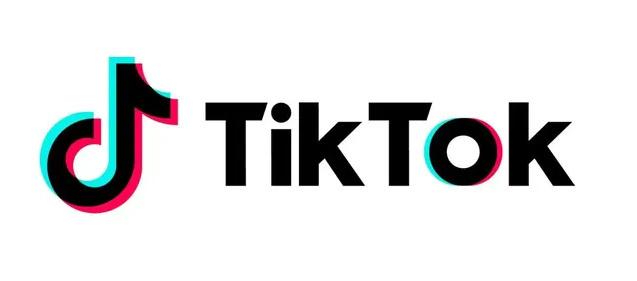Tiktok Food Bloggers Challenge Giant Foods And Visual Impact 