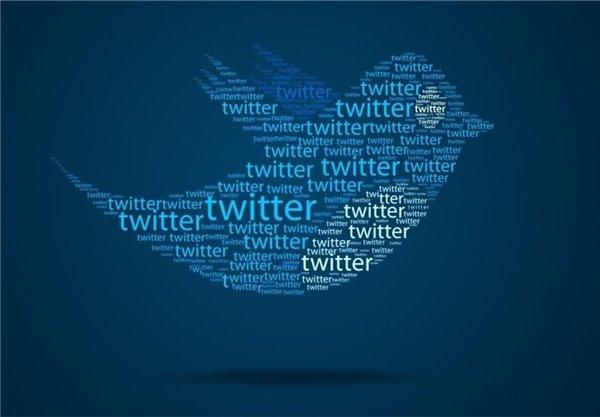 Twitter Introduces ‘Twitter for Hobbyists’ 