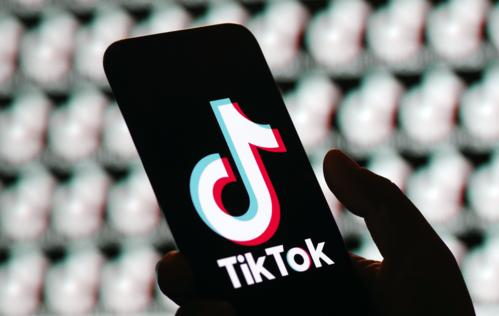 TikTok Announces New Cubism Filter