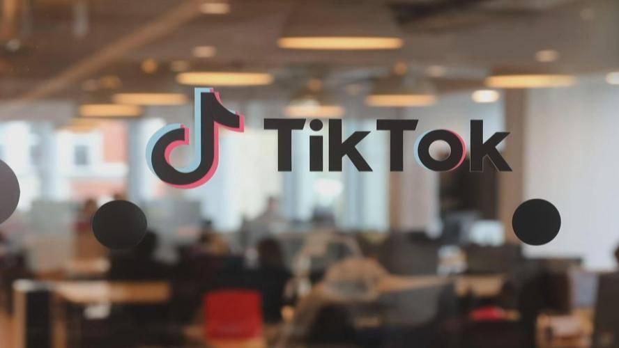 TikTok's New Feature: Interactive Pet Training Tips 